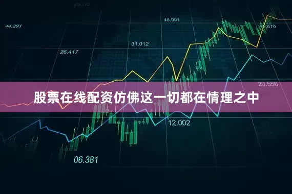 股票在线配资仿佛这一切都在情理之中