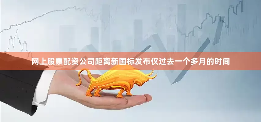 网上股票配资公司距离新国标发布仅过去一个多月的时间