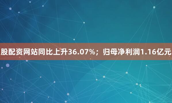股配资网站同比上升36.07%；归母净利润1.16亿元