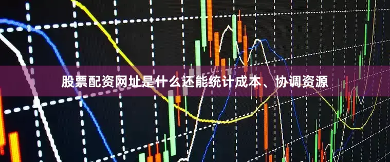 股票配资网址是什么还能统计成本、协调资源