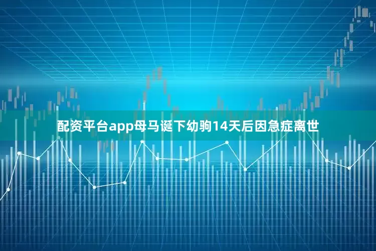 配资平台app母马诞下幼驹14天后因急症离世